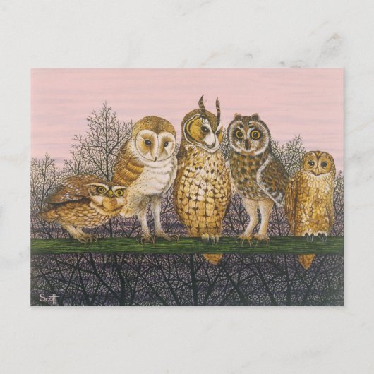 Tu-whit Tu-whooing Briefkaart (Voorkant)