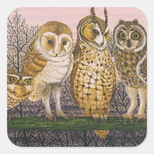 Tu-whit Tu-whooing Vierkante Sticker (Voorkant)