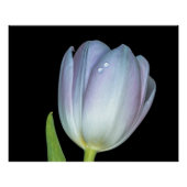 Tu y yo. perfect poster (Voorkant)