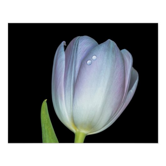 Tu y yo. perfect poster (Voorkant)