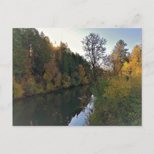 Tualatin River, Oregon Briefkaart (Voorkant)