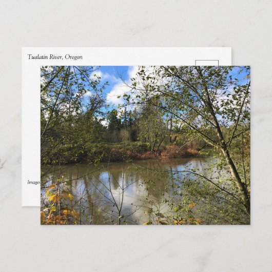 Tualatin River, Oregon Briefkaart (Voorkant / Achterkant)