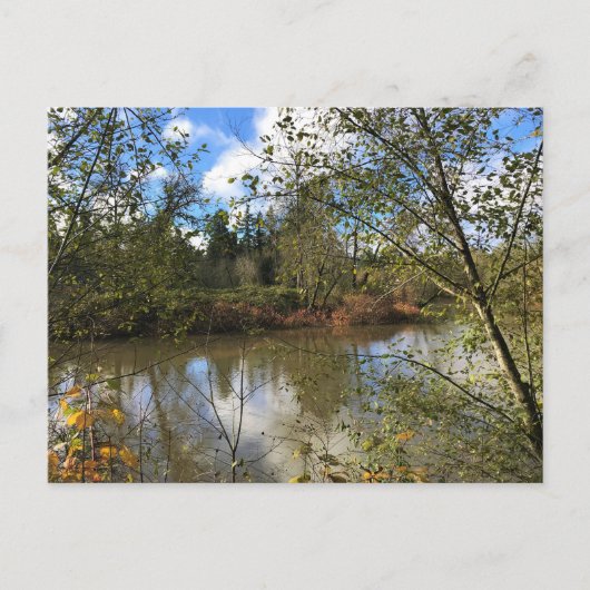 Tualatin River, Oregon Briefkaart (Voorkant)