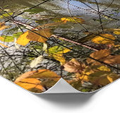 Tualatin River, Oregon Poster (Hoek)