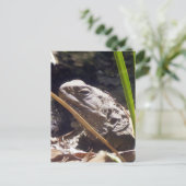 Tuatara Briefkaart (Staand voorkant)