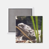 Tuatara Magneet (Voorkant / Achterkant)