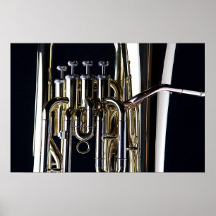 Tuba-Afbeelding voor foto's Poster