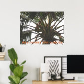 Tuba (kokosnootwijn) Gatherer, Tuba (kokosnoot Win Poster (Thuiskantoor)