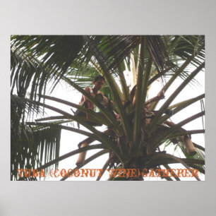 Tuba (kokosnootwijn) Gatherer, Tuba (kokosnoot Win Poster