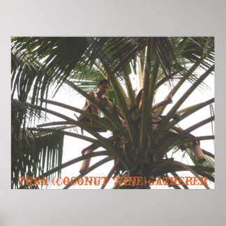 Tuba (kokosnootwijn) Gatherer, Tuba (kokosnoot Win Poster