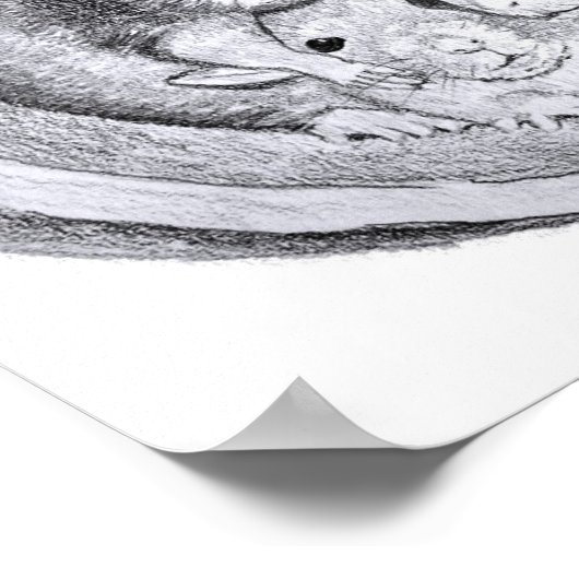 Tube Rats Poster (Hoek)