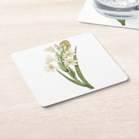 tuberose (Tuberosa sp.) van Redouté Kartonnen Onderzetters (Schuin)