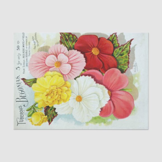  Tuberous Begonias Floral Tissue Paper Tissuepapier (Voorkant)