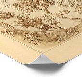  Tubulariae kleur Ernst Haeckel afdrukken Poster (Hoek)