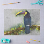 tucan bird tissue paper tissuepapier (Craft)