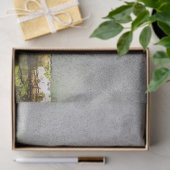 tucan bird tissue paper tissuepapier (Geschenk)