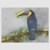tucan bird tissue paper tissuepapier (Voorkant)