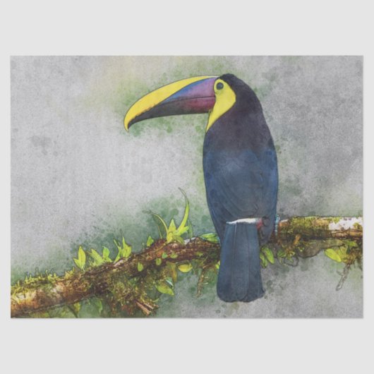 tucan bird tissue paper tissuepapier (Voorkant)