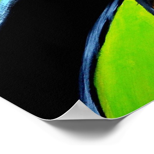 Tucan Closeup Poster (Hoek)