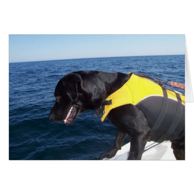 Tucker at Work Conservines Canines Labrador (Voorkant Horizontaal)