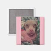 Tucker draagt bril roze accent magneet (Voorkant / Achterkant)