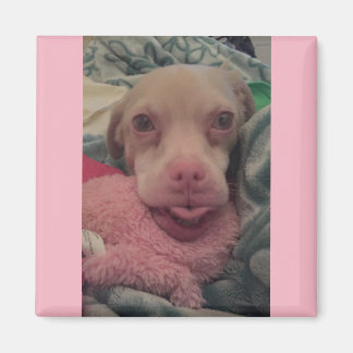 Tucker draagt bril roze accent magneet