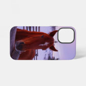 Tucker in de sneeuw iPhone 12 Mini Hoesje iPhone Hoesje (Achterkant horizontaal)