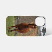 Tucker op de Run iPhone 12 Mini Stoere Hoesje iPhone Hoesje (Achterkant horizontaal)