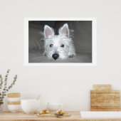 Tucker Poster (Keuken)