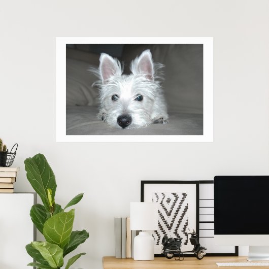 Tucker Poster (Thuiskantoor)