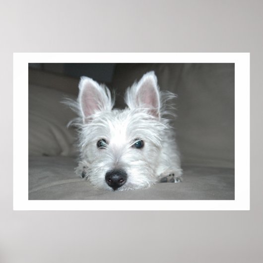 Tucker Poster (Voorkant)