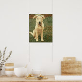 Tucker  poster (Keuken)