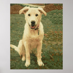 Tucker  poster