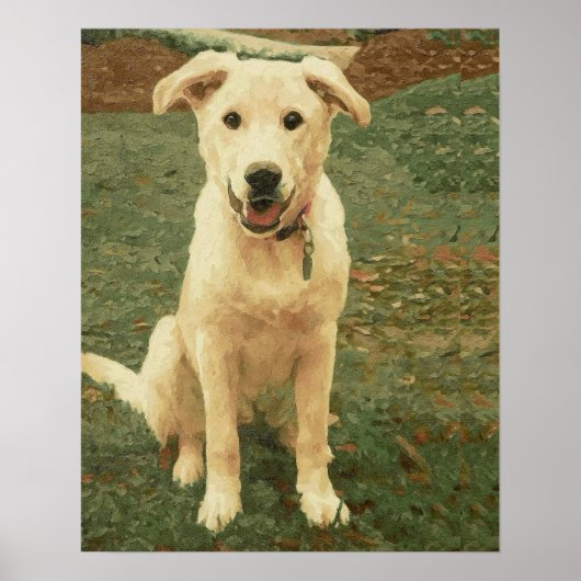 Tucker  poster (Voorkant)