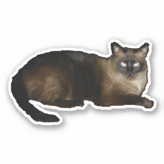 Tucker Sticker (Voorkant)