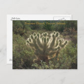 Tucson Arizona Briefkaart (Voorkant / Achterkant)