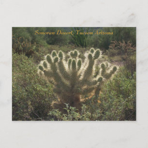 Tucson Arizona Briefkaart