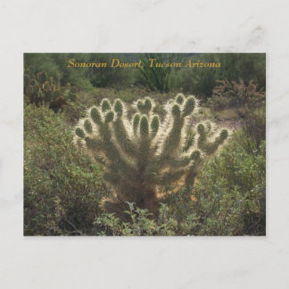 Tucson Arizona Briefkaart