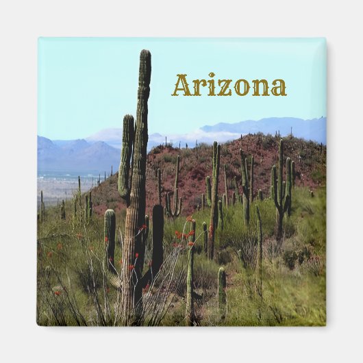Tucson Arizona Magneet (Voorkant)