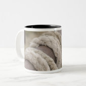 Tucson, Arizona: Reparaties en aandoeningen die wo Tweekleurige Koffiemok (Voorkant links)