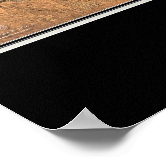 Tucson Arizona Satellite Poster Map (Hoek)