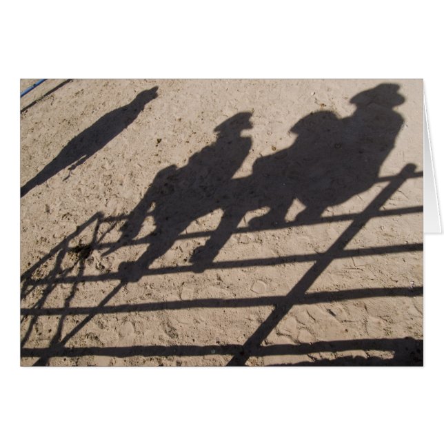 Tucson, Arizona: Schaduwen van Rodeo-deelnemers (Voorkant Horizontaal)