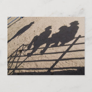 Tucson, Arizona: Schaduwen van Rodeo-deelnemers Briefkaart
