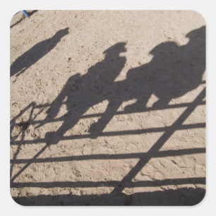 Tucson, Arizona: Schaduwen van Rodeo-deelnemers Vierkante Sticker