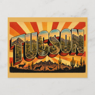 Tucson Arizona Sonora Woestijn Berg Kunst Briefkaart