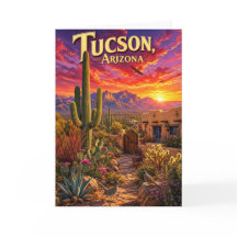 Tucson Arizona Woestijn Zonsondergang Saguaro Cact