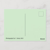 Tucson, Briefkaart AZ (Achterkant)