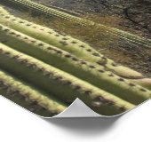 Tucson Desert Poster (Hoek)