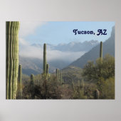 Tucson Desert Poster (Voorkant)