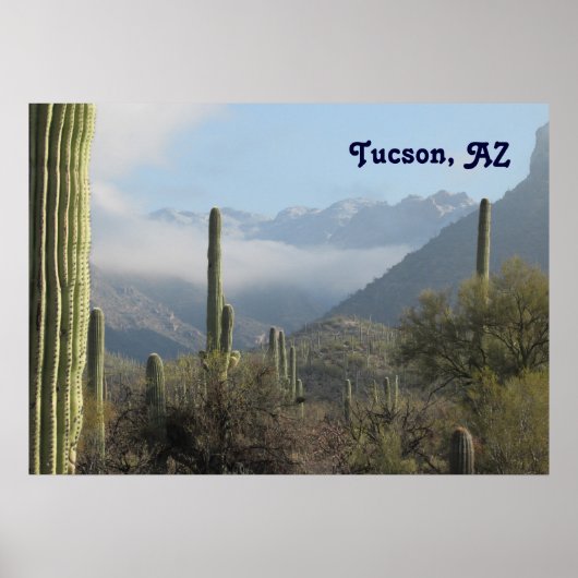 Tucson Desert Poster (Voorkant)